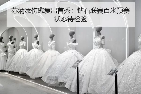 su-bing-tian-shang-yu-fu-chu-shou-xiu-zuan-shi-lian-sai-bai-mi-yu-sai-zhuang-tai-dai-jian-yan-2-390.jpg
