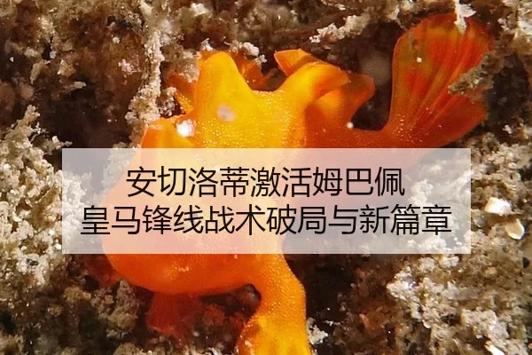 an-qie-luo-di-ji-huo-mu-ba-pei-huang-ma-feng-xian-zhan-shu-po-ju-yu-xin-pian-zhang-3-369.jpg