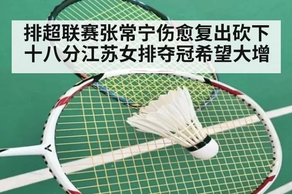 排超联赛张常宁伤愈复出砍下十八分江苏女排夺冠希望大增